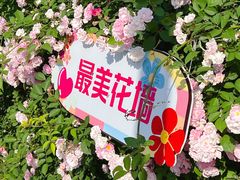 -南京国际青年文化中心