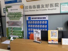 -伟伟宠物医院·瑞派猫友好医院·猫科(光谷店)