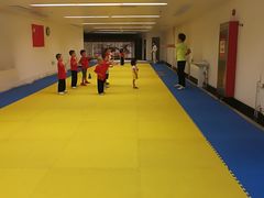 -武术世家少儿培训中心(首都体育学院店)
