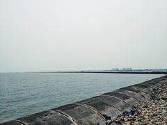 -东疆建设开发纪念公园