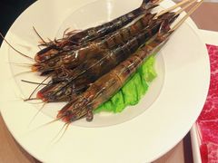 -協成海鮮火鍋(老店)