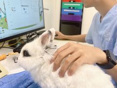 -立德异宠动物医院.兔鸟爬.内窥镜(天河店)