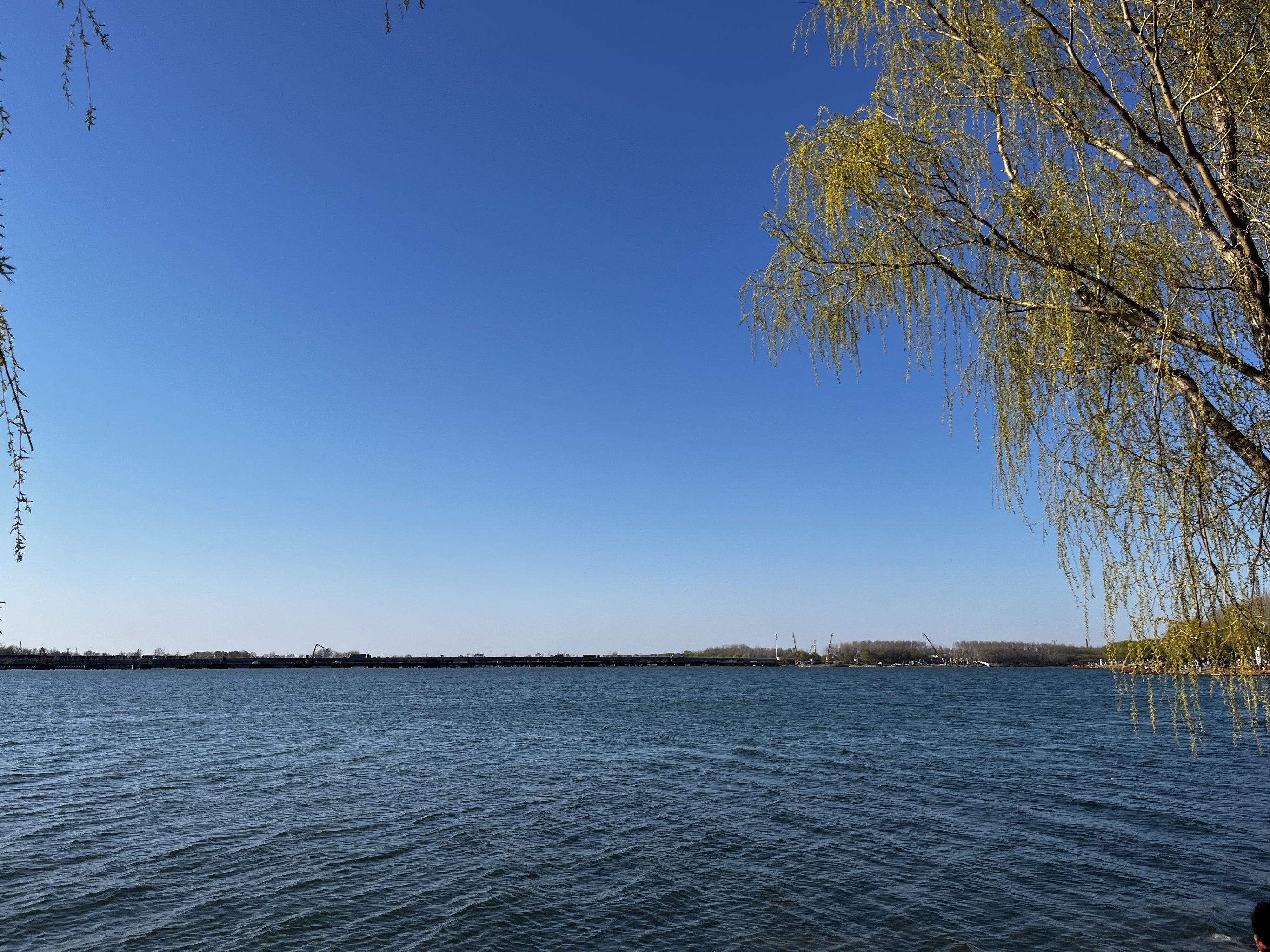 丁香湖