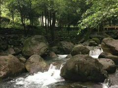 -白云源风景区