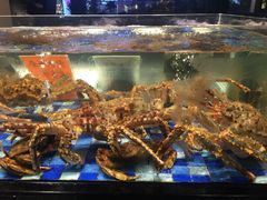 水产区-老伙记海鲜码头(北滘店)