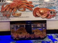 -蟹道乐(道顿堀本店)
