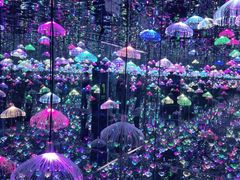 -深圳独角兽星空艺术馆