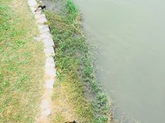 -美兰湖景区