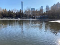 -团结湖公园