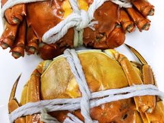 -呼吸森林·生态农庄农家乐私房菜