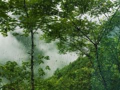 -遂昌金矿国家矿山公园