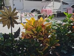 -京北渔家傲