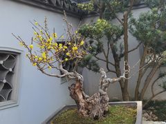 -无锡梅园公园