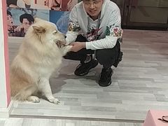-肆兮眼镜·蔡司·徕卡战略合作店(大坪店)