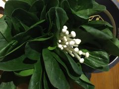 -乐宴KTV火锅(九方购物中心店)