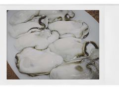 -濠轩阁特色生蚝火锅(水湾路店)