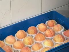 -老袁家蜜桃农场·阳山水蜜桃