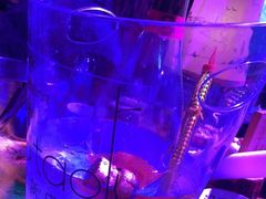 -胡桃里乐队酒馆