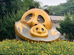 -成都大熊猫繁育研究基地