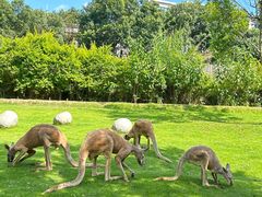-泉州海丝野生动物世界