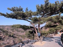 -青岛大珠山景区