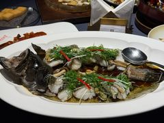 -翠府(翠湖北路店)