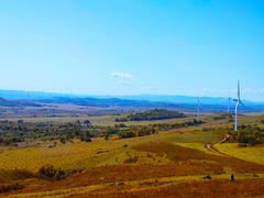 -塞罕坝国家级自然保护区