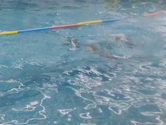 -小小王国亲子游泳俱乐部(锦辉中心)