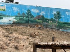 -西霞口神雕山野生动物世界