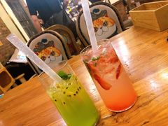 -more than meow吴止猫主题餐厅(承德 中船汇店)