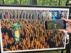 -黄海国家森林公园