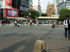 -涩谷区