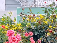 -立新湖公园