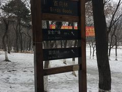 -高尔山公园