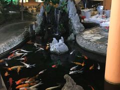 -荔城生鲜盛宴(番禺旗舰店)