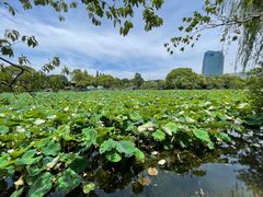 -无锡蠡湖国家湿地公园-蠡园