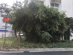 -上海对外经贸大学(古北校区)