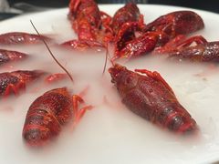 -红盔甲·小龙虾(人民广场店)
