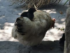 -杭州六谷生态休闲农庄有限公司