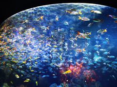 -成都浩海立方海洋公园