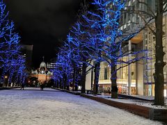-北海道札幌格兰大酒店