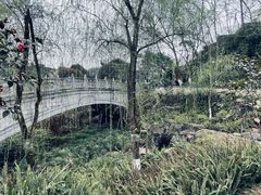 -重庆园博园