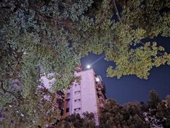 -捌玖粉面馆·猪油拌粉