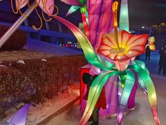 -沈阳奥体冰雪嘉年华