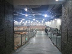 -南越王博物院(王宫展区)
