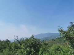 -北京西山国家森林公园