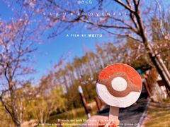 -顾村公园