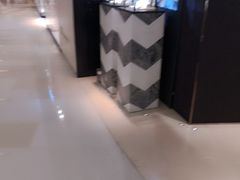 -APM Monaco(环贸店)