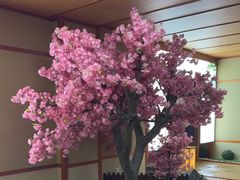 -汤泉良子(马连道店)