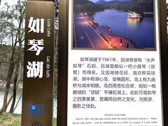 -庐山风景区花径公园